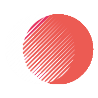 test website